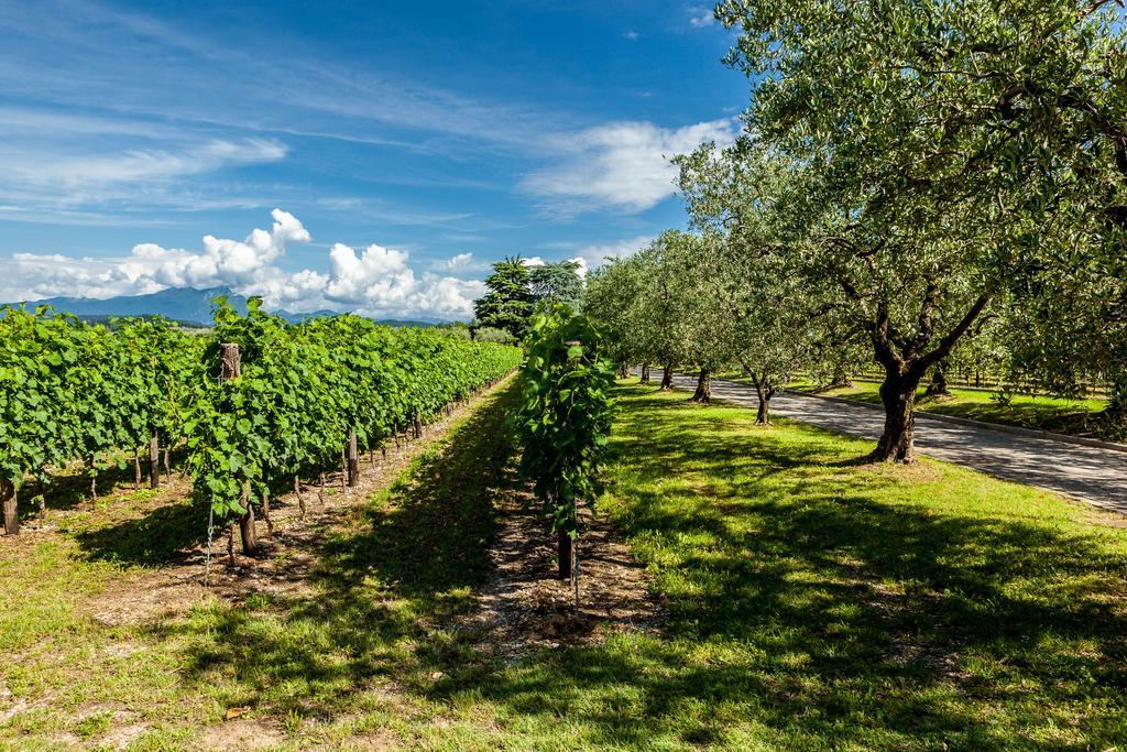 Quercia Belvedere Relais บาร์โดลิโน ภายนอก รูปภาพ