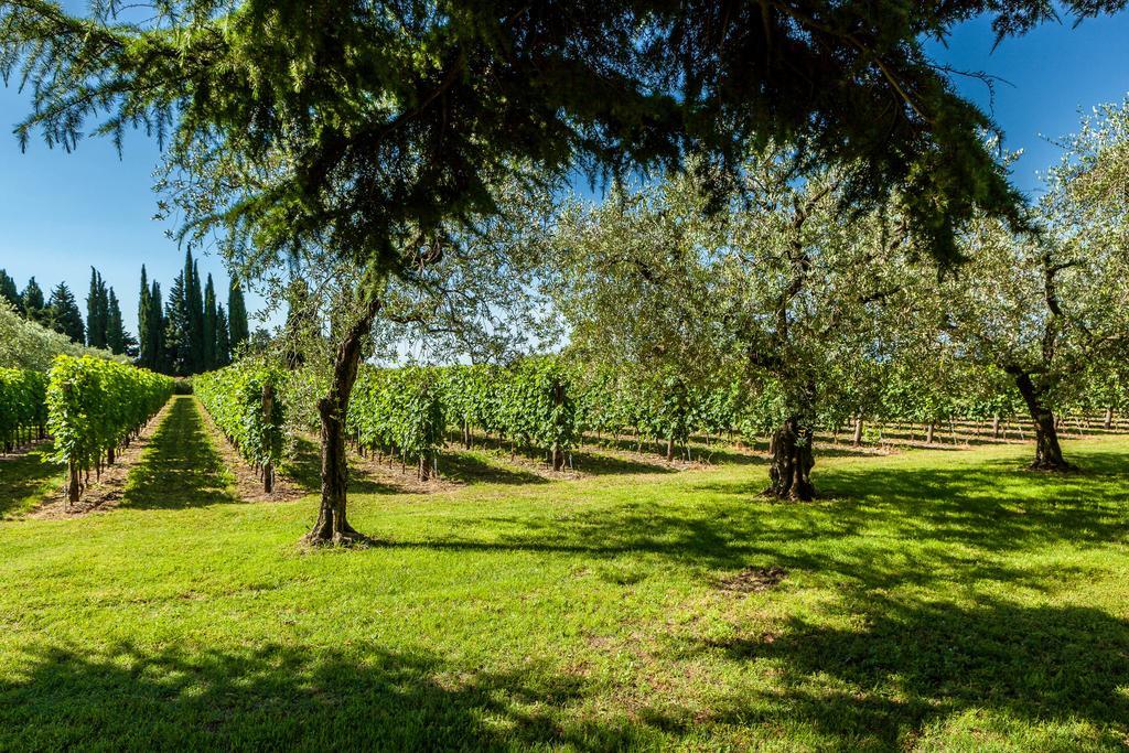 Quercia Belvedere Relais บาร์โดลิโน ภายนอก รูปภาพ